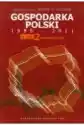 Gospodarka Polski 1990-2011. Tom 2. Modernizacja