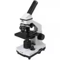 Mikroskop Levenhuk Rainbow 2L Plus Kamień Księżycowy