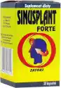 Kapsułki Sinusplant Forte 30 Kapsułek Planta-Lek
