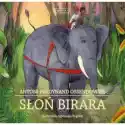  Słoń Birara Ii 