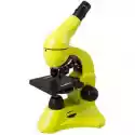 Levenhuk Mikroskop Levenhuk Rainbow 50L Plus Limonkowy