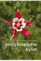 Encyklopedia Bylin T.1