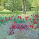 Susan Entwistle Karnet Z Kopertą Tulipany W Ogrodzie 