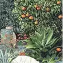 Susan Entwistle Karnet Z Kopertą Ogród W Monako Ii 