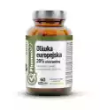 Oliwka Europejska 20% Oleuropeiny 60 Kaps Vcaps® | Clean Label P