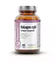 Kolagen Rybi Complex Collagenium 60 Kaps Vcaps® | Clean Label Ph