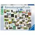 Ravensburger  Puzzle 1500 El. Zabawne Zwierzęta Ravensburger