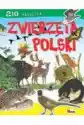 Zwierzęta Polski. 210 Naklejek!
