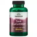 Sea Cucumber - Ogórek Morski 100 Kaps. Swanson