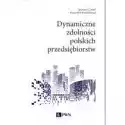  Dynamiczne Zdolności Polskich Przedsiębiorstw 