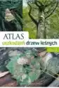 Atlas Uszkodzeń Drzew Leśnych T1