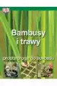 Bambusy I Trawy. Prosta Droga Do Sukcesu