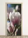 Wally Piekno Dekoracji Fototapeta Na Drzwi Magnolia P45