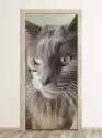 Wally Piekno Dekoracji Fototapeta Na Drzwi Kot P17