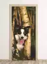 Wally Piekno Dekoracji Fototapeta Na Drzwi Pies W Lesie P6