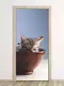 Wally Piekno Dekoracji Fototapeta Na Drzwi Kot W Mistce P56