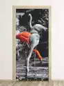 Wally Piekno Dekoracji Fototapeta Na Drzwi Flamingi P138
