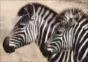 Wally Piekno Dekoracji Obraz Zebra P650
