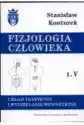 Układ Trawienny I Wydzielanie Wewnętrzne. Fizjologia Człowieka. 