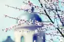 Wally Piekno Dekoracji Fototapeta Na Ścianę Kwitnące Drzewo Na Tle Kościoła Fp 678