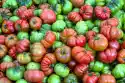 Wally Piekno Dekoracji Fototapeta Na Ścianę Pomidory O Czerwono Zielonym Zabarwieniu Fp