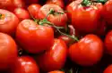 Fototapeta Na Ścianę Zjawiskowe Czerwone Pomidory Fp 949