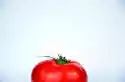 Fototapeta Na Ścianę Kawałek Pomidora Z Szypułką Fp 1007