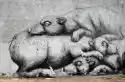 Wally Piekno Dekoracji Fototapeta Na Ścianę Graffiti Zwierzęta Fp 1283