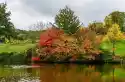 Wally Piekno Dekoracji Fototapeta Na Ścianę Jesienny Kolor Drzew Fp 2044