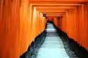 Fototapeta Na Ścianę Japonia Fushimi Inari Taisha Ścieżka Fp 222