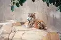 Wally Piekno Dekoracji Fototapeta Na Ścianę Tygrys Leżący Na Skale Fp 2565