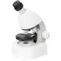 Discovery Mikroskop Discovery Micro Z Książką Polar