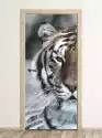 Wally Piekno Dekoracji Fototapeta Na Drzwi Tygrys Fp 2912 D