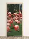 Wally Piekno Dekoracji Fototapeta Na Drzwi Flamingi Fp 2535 D