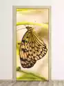Wally Piekno Dekoracji Fototapeta Na Drzwi Kolorowy Motylek Fp 2511 D