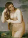 Reprodukcja Venus Anadyomene, Tycjan