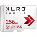 Pny Karta Pamięci Pny Microsdxc Xlr8 Gaming 256Gb