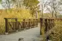 Fototapeta Na Ścianę Drewniany Mostek W Jesiennym Parku Fp 3529