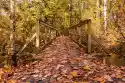 Fototapeta Na Ścianę Most Pokryty Jesiennymi Liśćmi Fp 3546