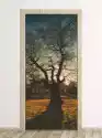 Wally Piekno Dekoracji Fototapeta Na Drzwi Samotne Drzewo Fp 6083