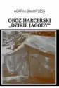 Obóz Harcerski 