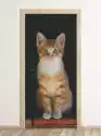 Wally Piekno Dekoracji Fototapeta Na Drzwi Rudy Pręgowany Kot Fp 6168