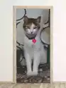 Wally Piekno Dekoracji Fototapeta Na Drzwi Kot Z Serduszkiem Fp 6171