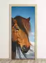 Wally Piekno Dekoracji Fototapeta Na Drzwi Głowa Konia Fp 6189