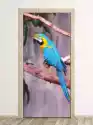 Wally Piekno Dekoracji Fototapeta Na Drzwi Niebieska Papuga Fp 6202