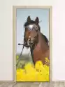 Wally Piekno Dekoracji Fototapeta Na Drzwi Koń Pasący Się Na Łące Fp 6209