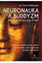 Neuronauka A Buddyzm