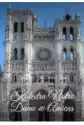Katedra Notre Dame W Amiens