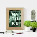 Wally Piekno Dekoracji Plakat Nature 048