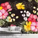 Wally Piekno Dekoracji Tapeta Na Ścianę Hibiscus, Kolorowe Kwiaty 0344